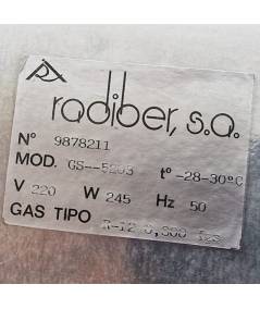 Radiber GS5203