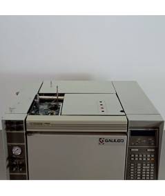 HP 5890 GC-FID