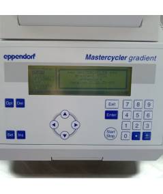 Eppendorf Mastercycler Gradient