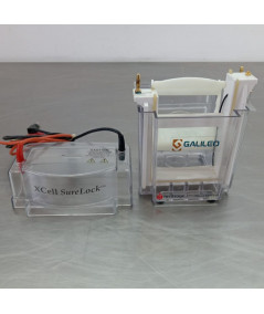 Invitrogen XCell Surelock Mini-Cell