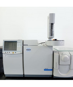 Bruker 450-320 GCMS