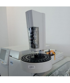Bruker 450-320 GCMS
