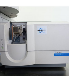 Bruker 450-320 GCMS