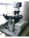 Microscopio Fluorescencia Olympus IX81F