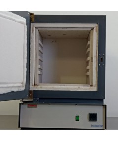 Thermo Scientific Thermolyne