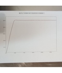 Thermo Scientific Thermolyne