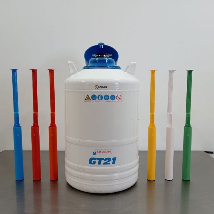 Air Liquide GT 21