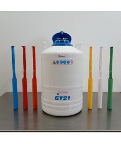 Air Liquide GT 21