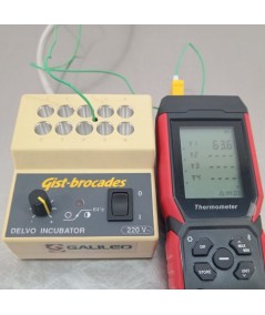 Gist-brocades ICS-11