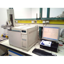 Agilent 6890N