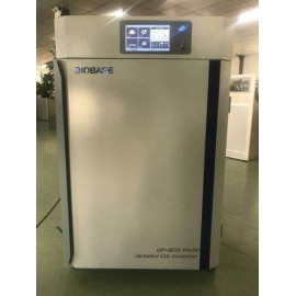 Incubator CO2 BJPX-C Series