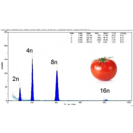 CyFlow® Ploidy Analyser ploidías in tomato