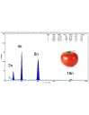 CyFlow® Ploidy Analyser ploidías em tomate