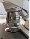 Microscopio Leitz Laborlux 12