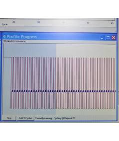 RT-PCR Corbett Rotor Gene 3000