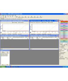 RT-PCR Corbett Rotor Gene 3000