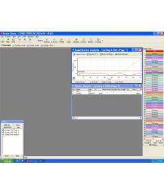 RT-PCR Corbett Rotor Gene 3000