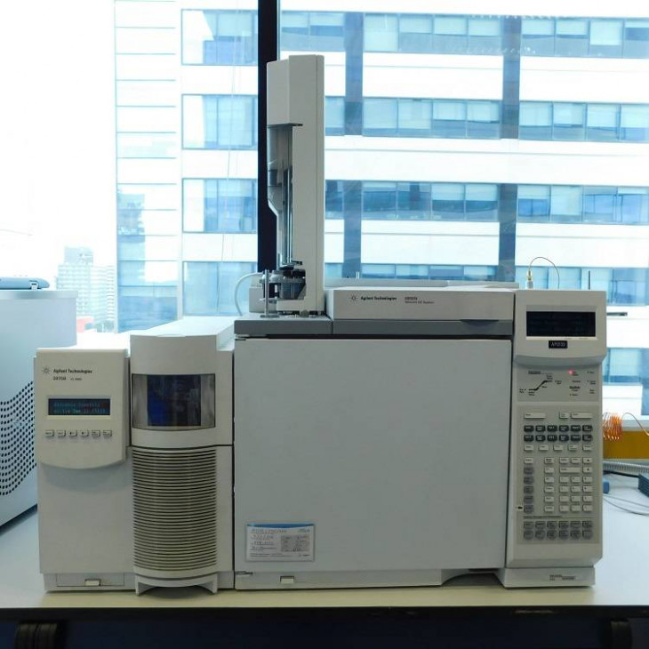 Agilent 6890N GC + 5975B MSD
