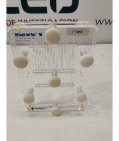 Immunetics MiniBlotter 16