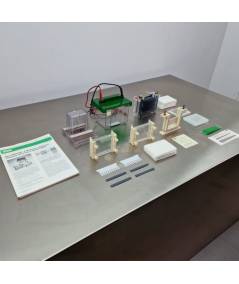 BioRad Mini-PROTEAN II