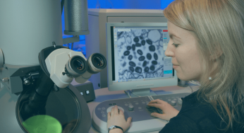 Partes del microscopio electrónico y sus funciones