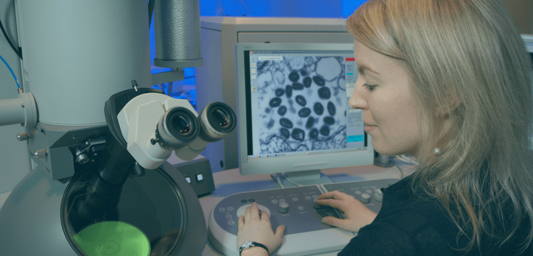 Tubería Marte Interpersonal Partes de un ✓ Microscopio Electrónico ✓ - Galileo Equipos