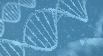 Aprende Qué es el ADN