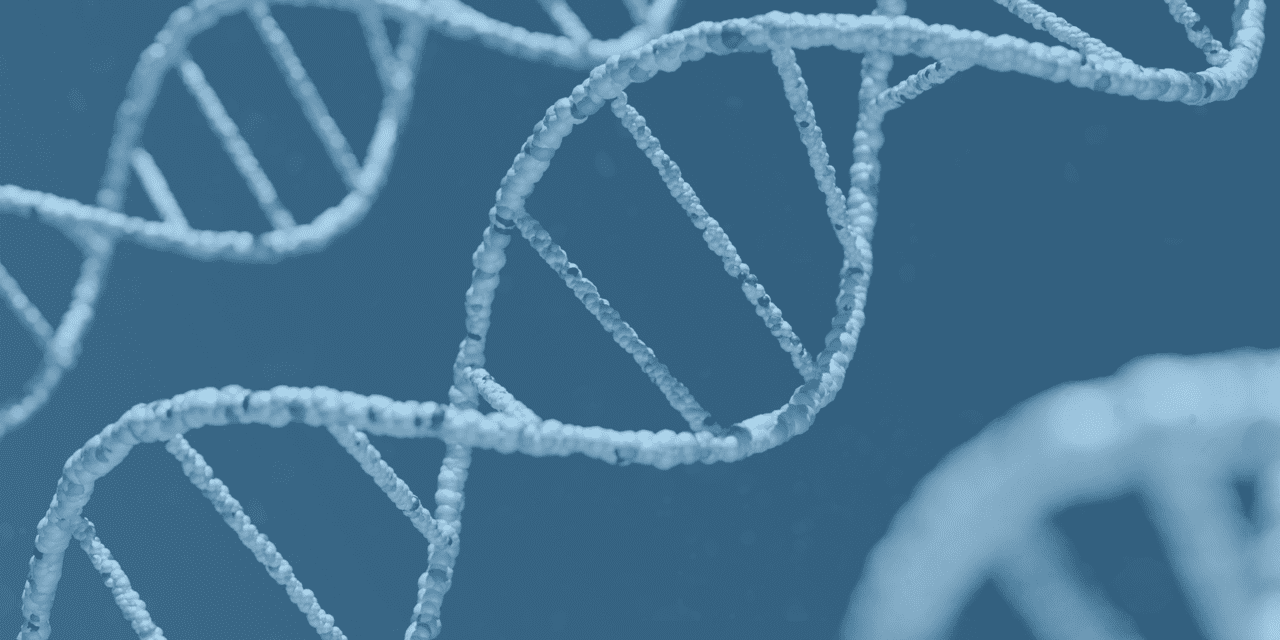 Como hacer la extracción de ADN casero de laboratorio