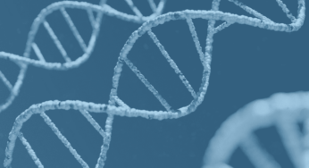 Como hacer la extracción de ADN casero de laboratorio