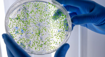 Qué es microbiología clínica