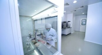 La Importancia de la Ventilación y el Flujo Laminar en las Vitrinas de Gases de Laboratorio