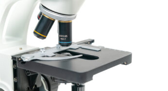 Conoce cuáles son las partes del microscopio óptico