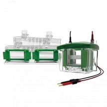 Gel Transfer Systems and Others