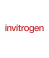 INVITROGEN