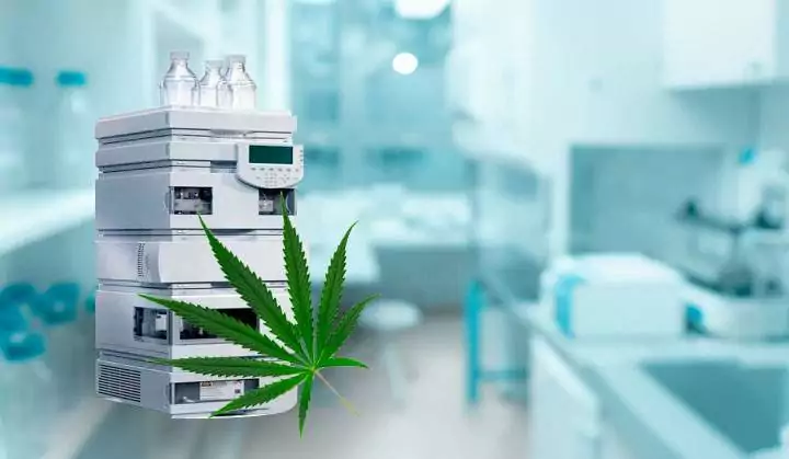 Cannabis instruments