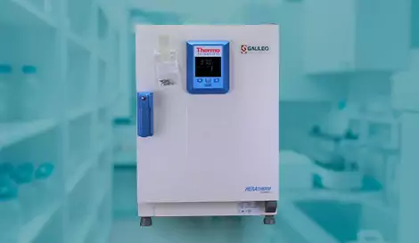 Incubators and Ovens