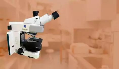 Microscopes