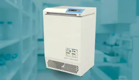 Frío y congelación