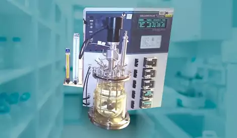 Fermentadores Laboratorio